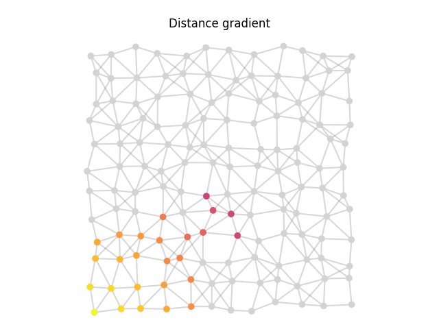 A distance gradient on an irregular lattice