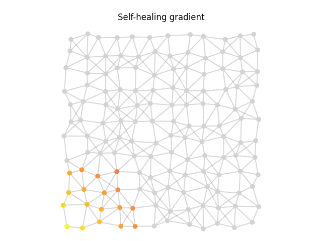 A distance gradient on an irregular network